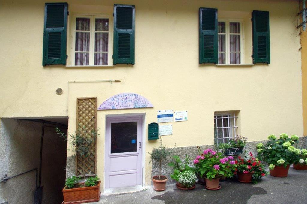 Agriturismo Nonnamelia Nasino Eksteriør billede