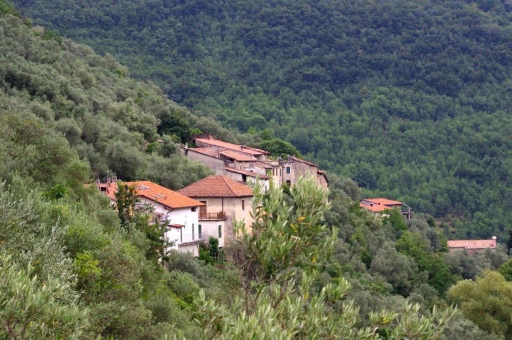 Agriturismo Nonnamelia Nasino Eksteriør billede